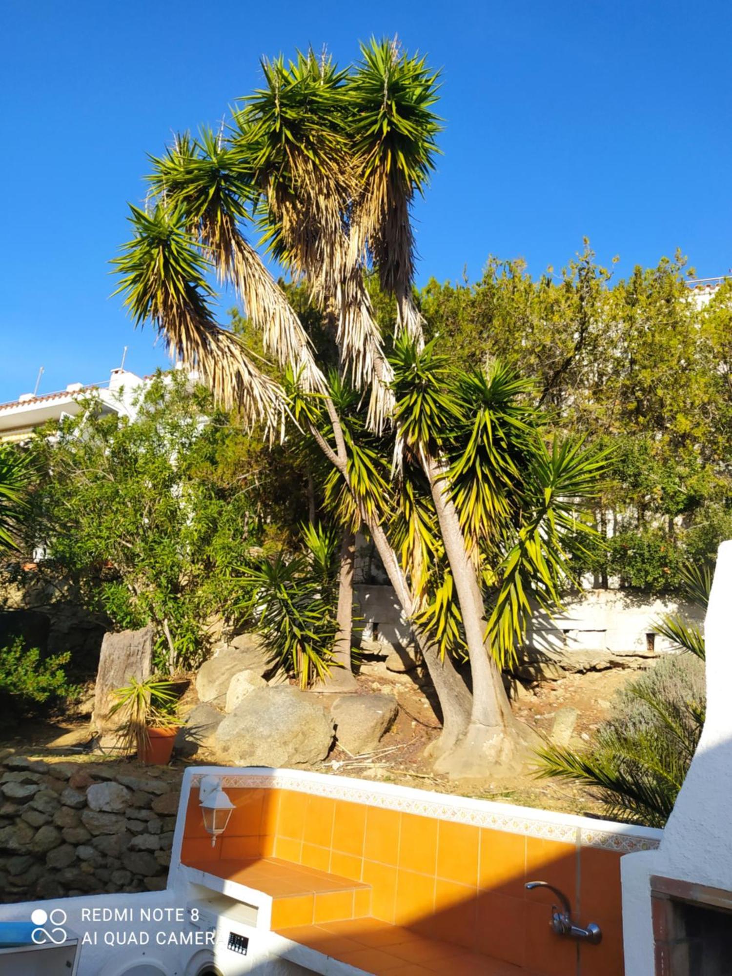 Apartamento Bramer 6 Canyelles Rosas