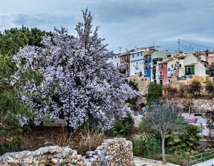 Casa De Tres Con Parking Bajo La Casa Holiday home Villajoyosa