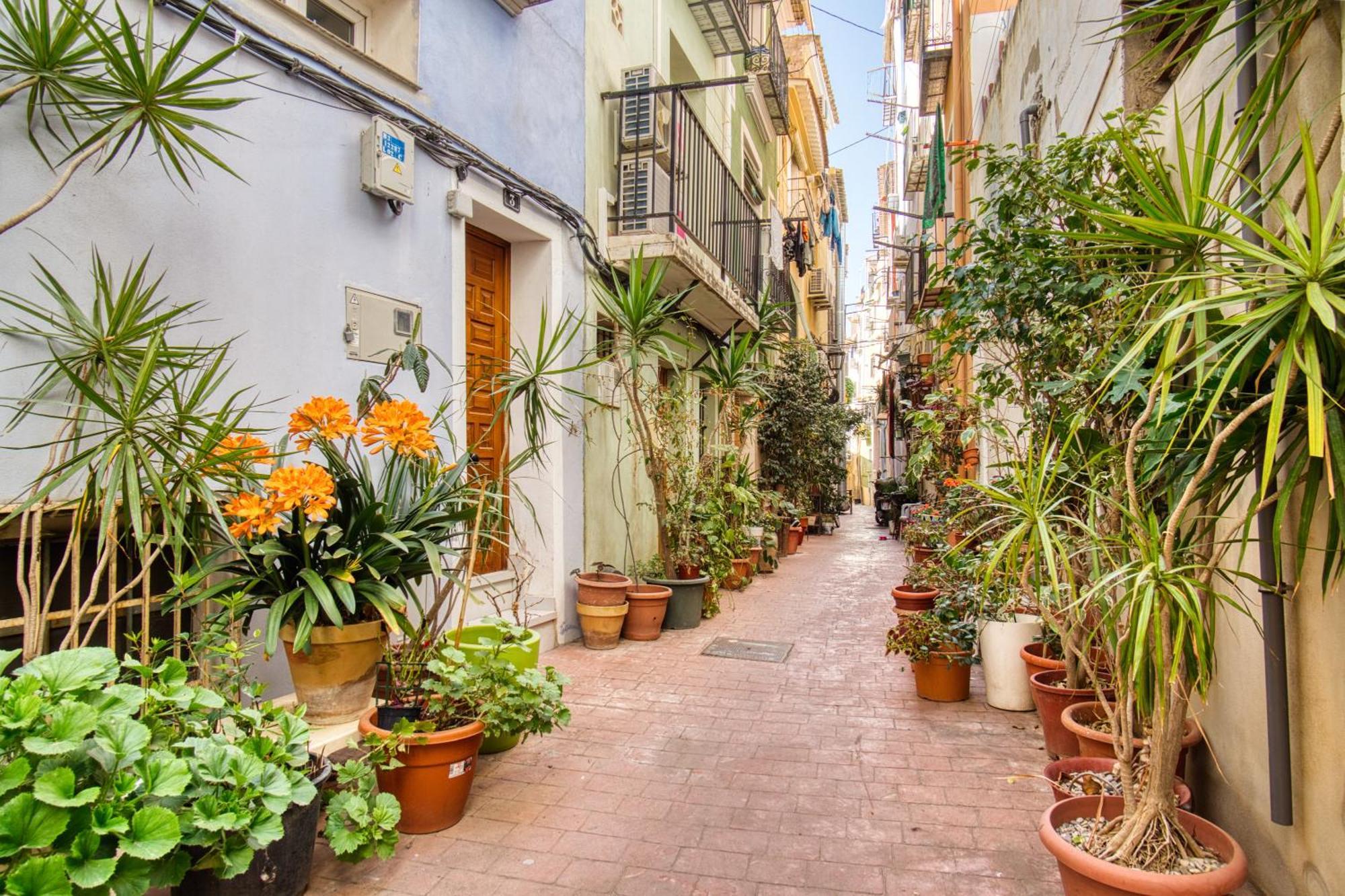El Desembarco Apartamento Villajoyosa (La Vila Joiosa)