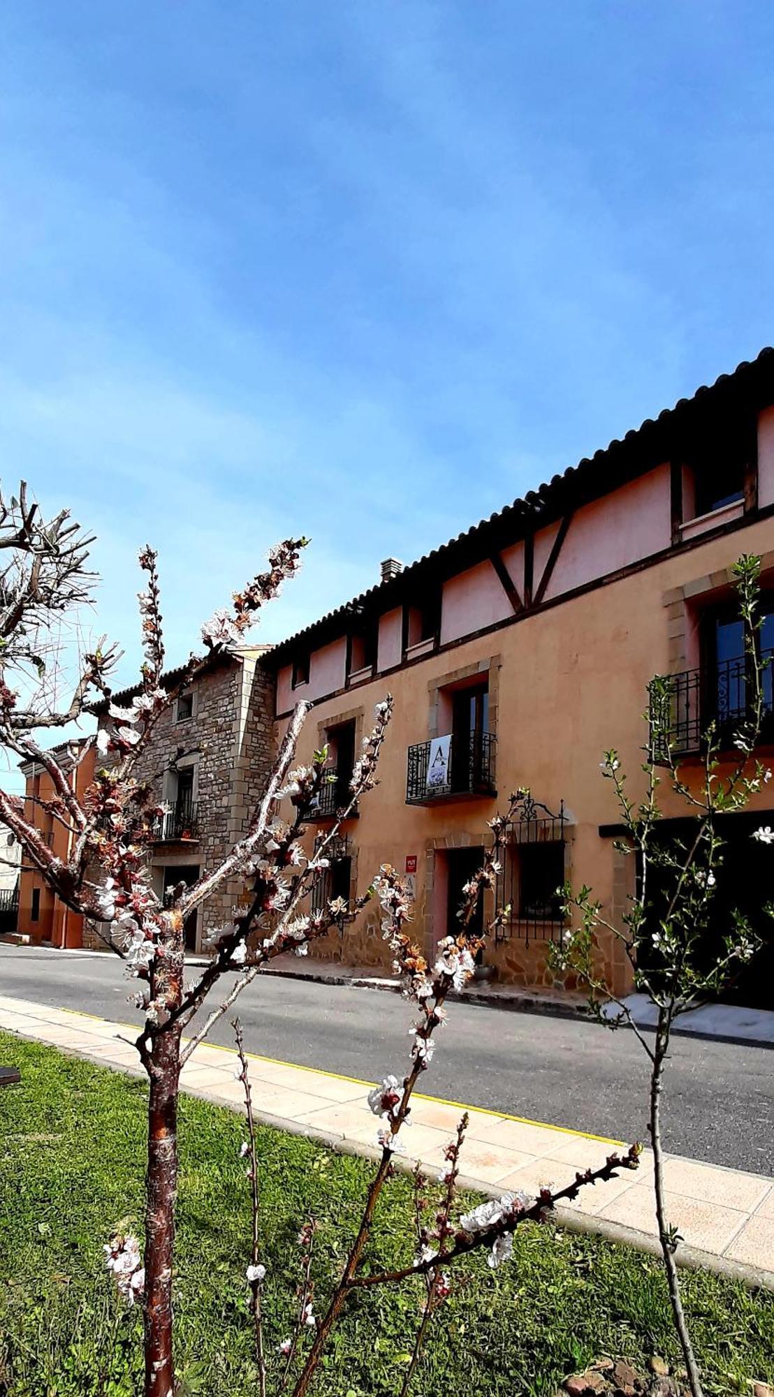 Arevacon Apartamento Siguenza