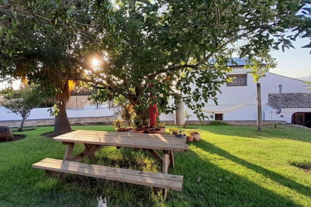Holiday home Casa De Pintores Facinas