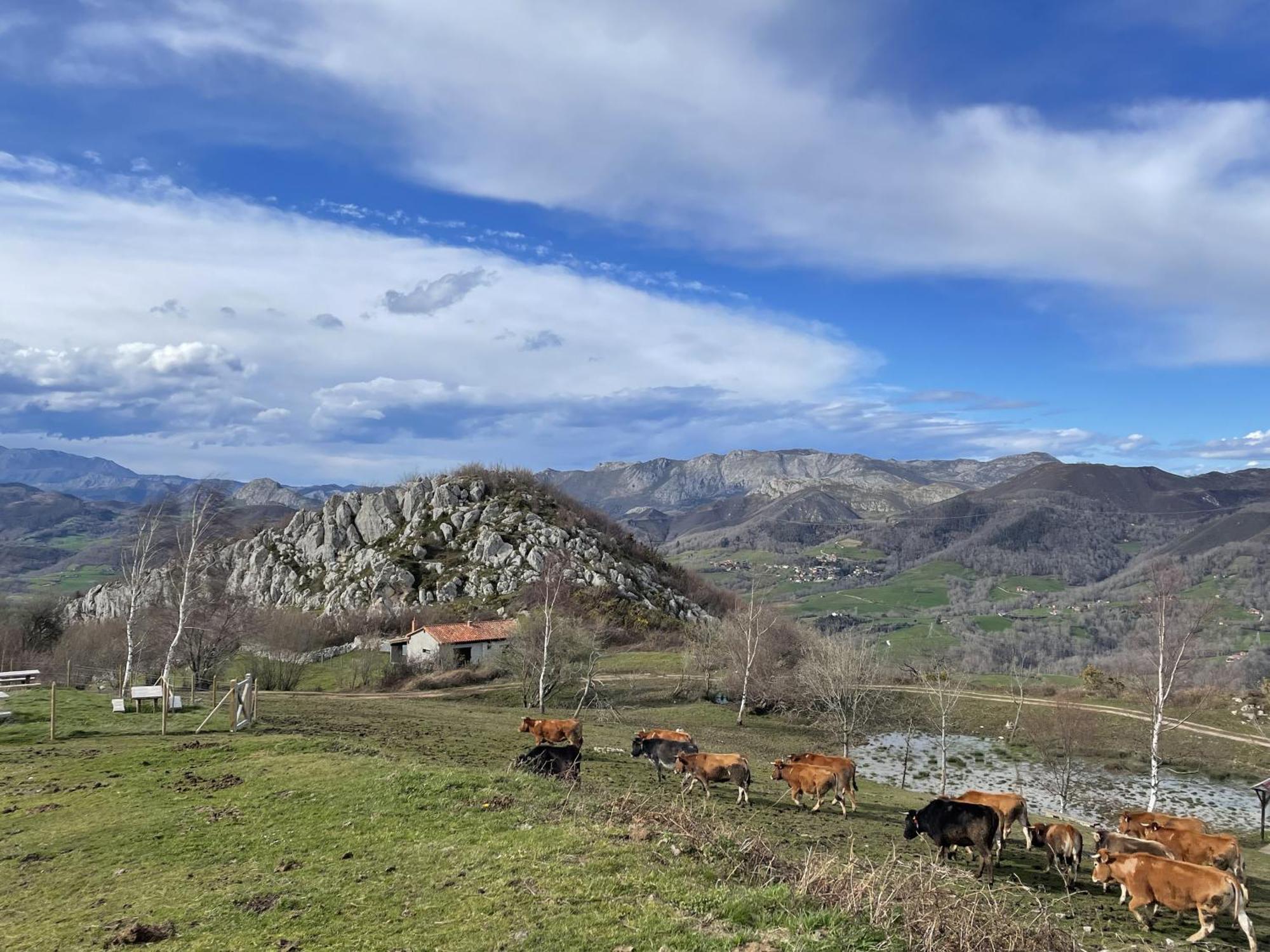 La Ventana De Picos