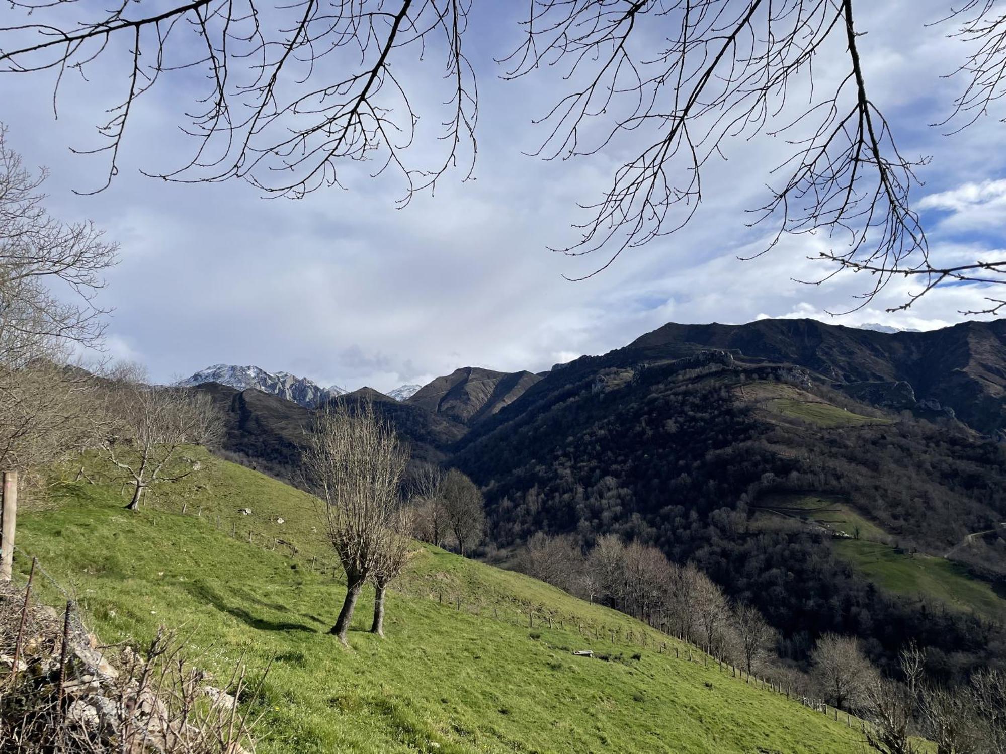 La Ventana De Picos *