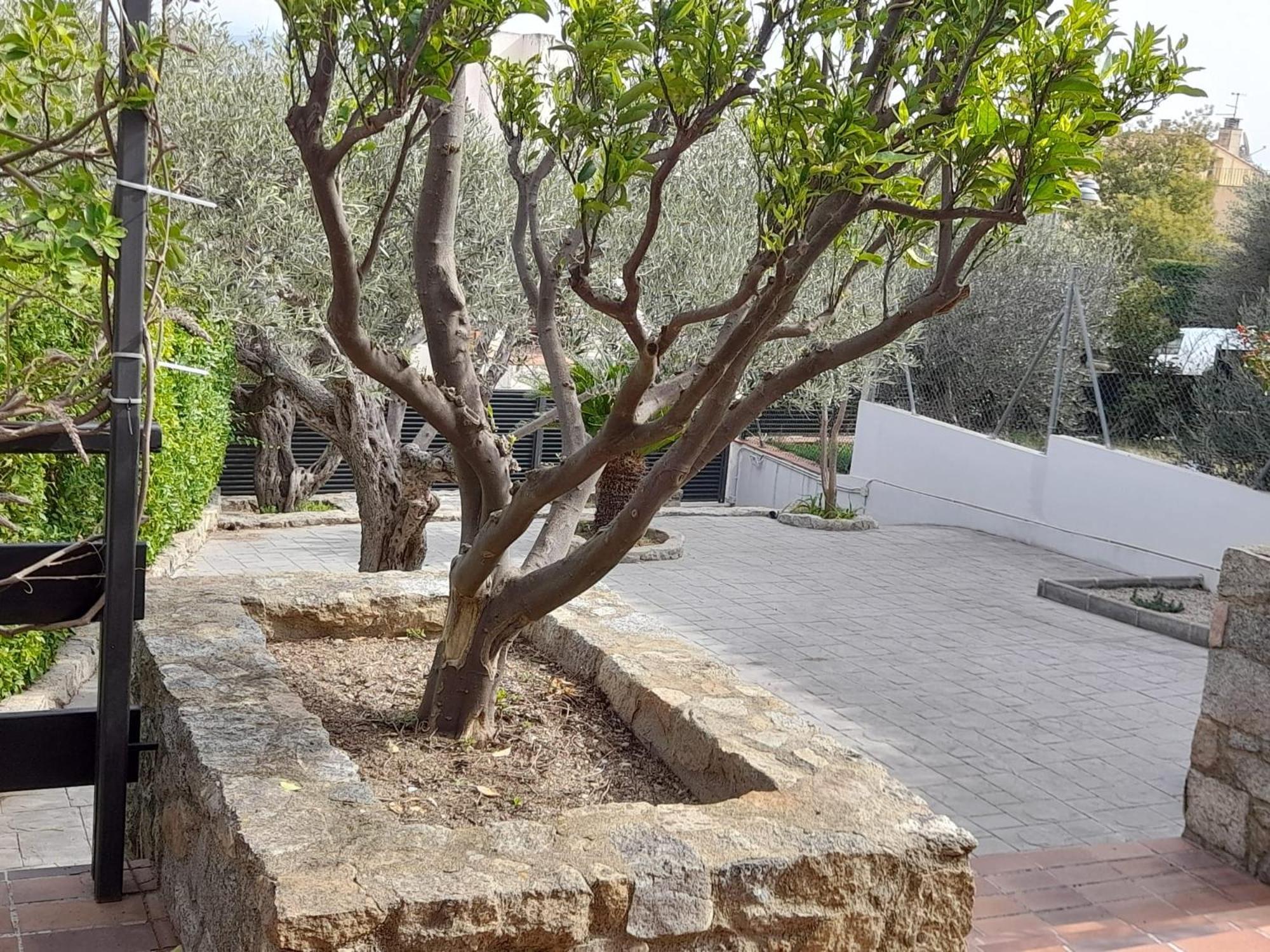 Casa Cari Agullana