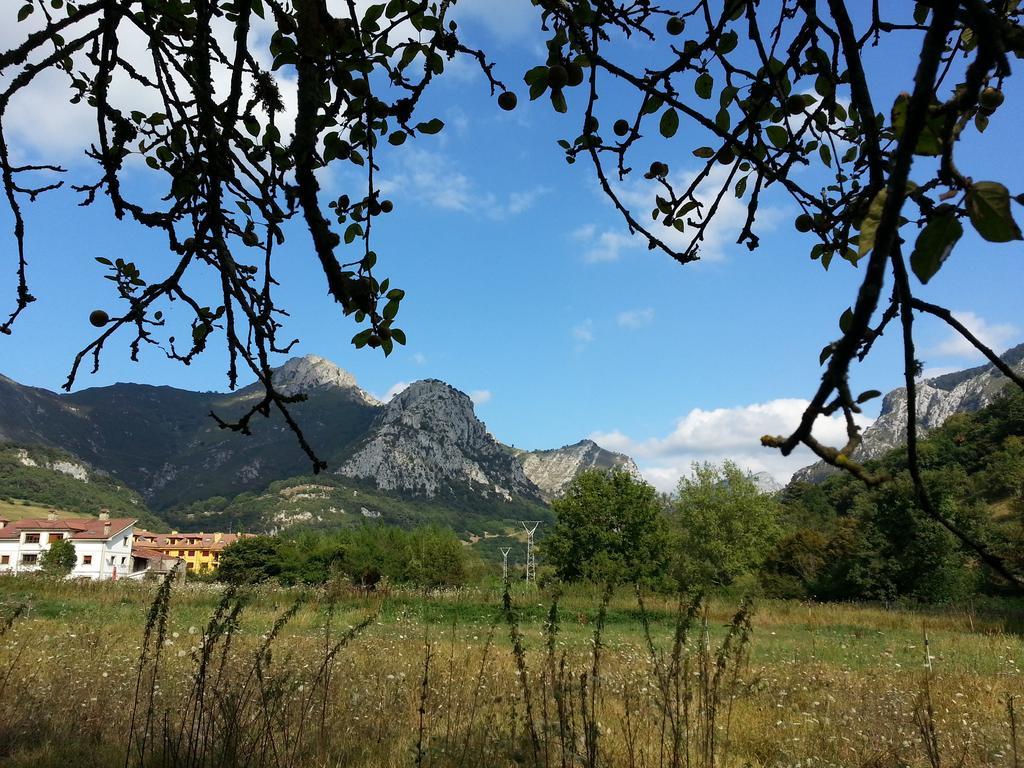 Apartamento En Cabrales Arenas De Cabrales