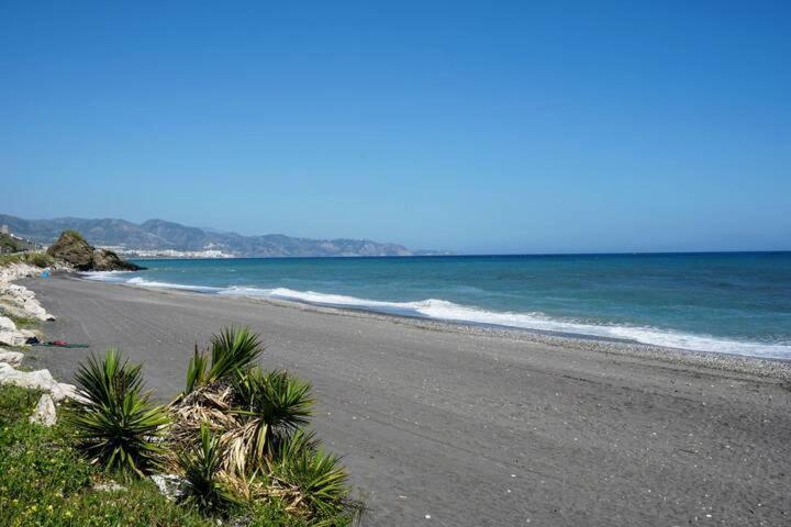 Biasa Holidays * Torrox