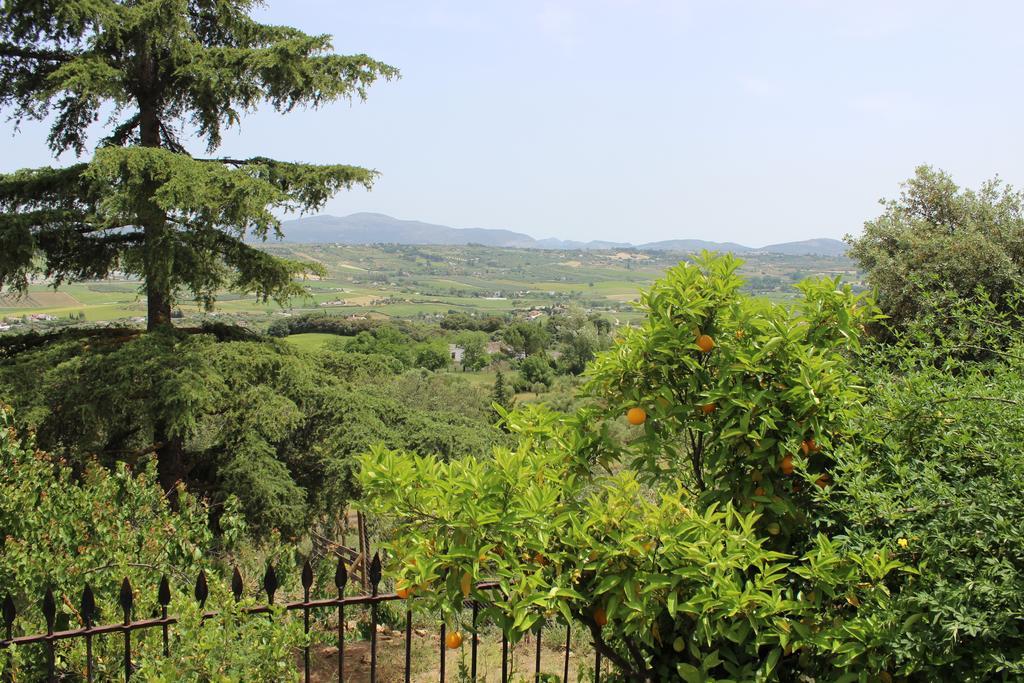 Villa The White Olive Ronda