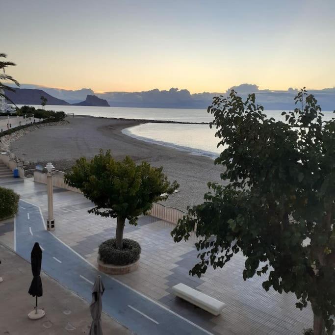 Con Acceso Directo Al Mar En Y Parking Apartamento *