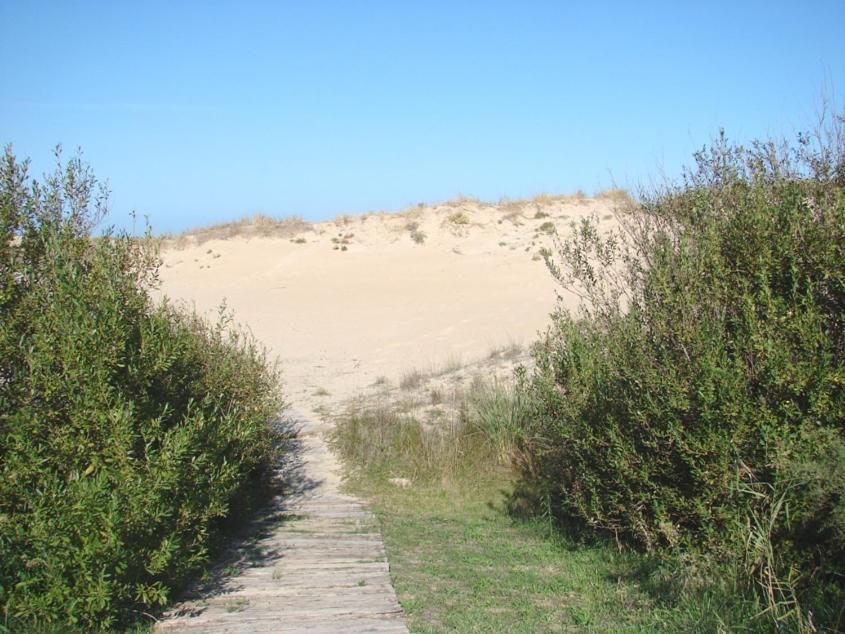 Casas Del Mar - Nova - Primera Linea De Playa *