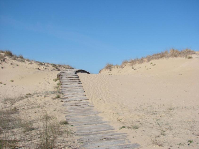 Casas Del Mar - Nova - Primera Linea De Playa Oliva