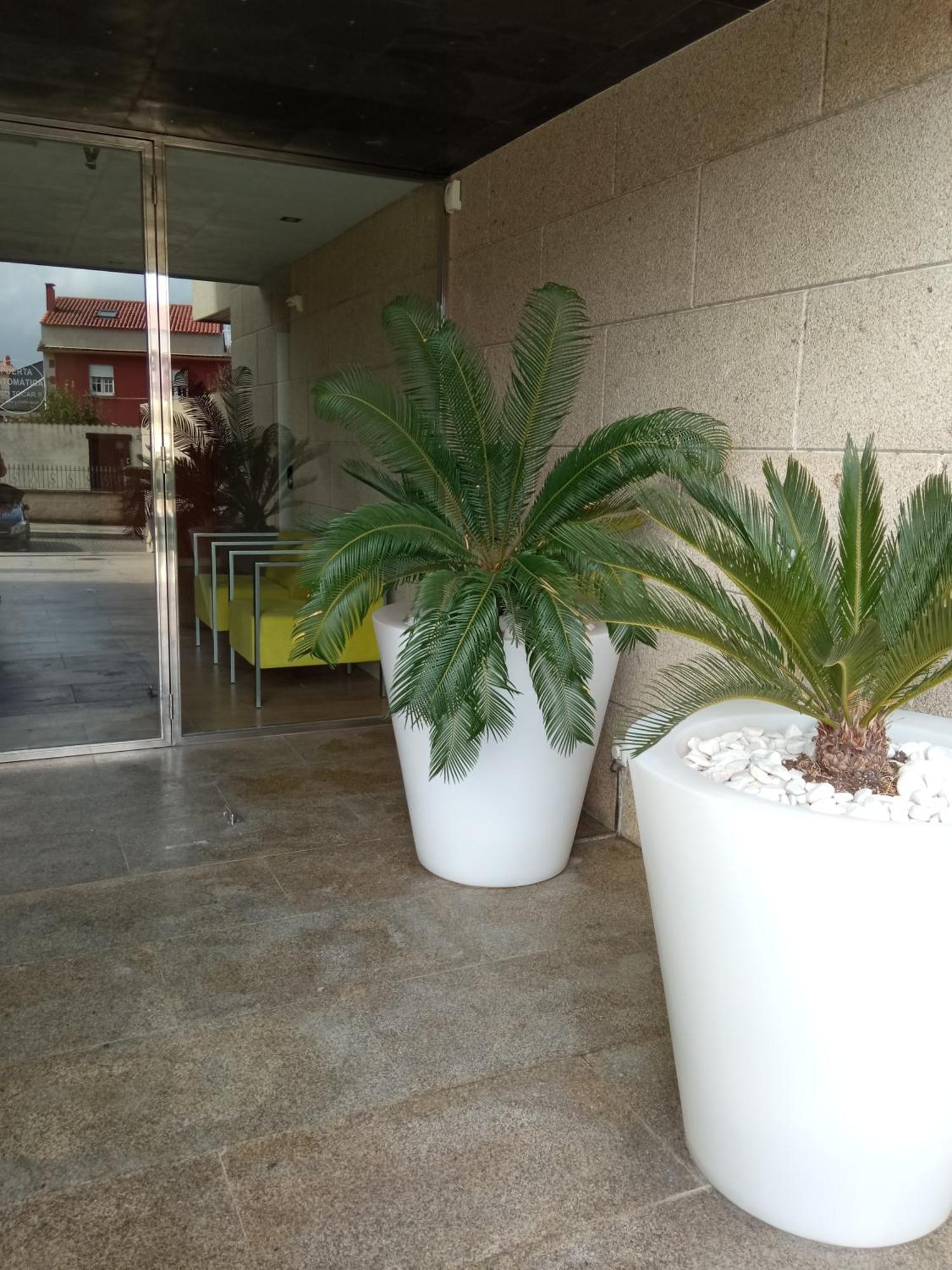 Apartamento Dezamar Playa Portonovo