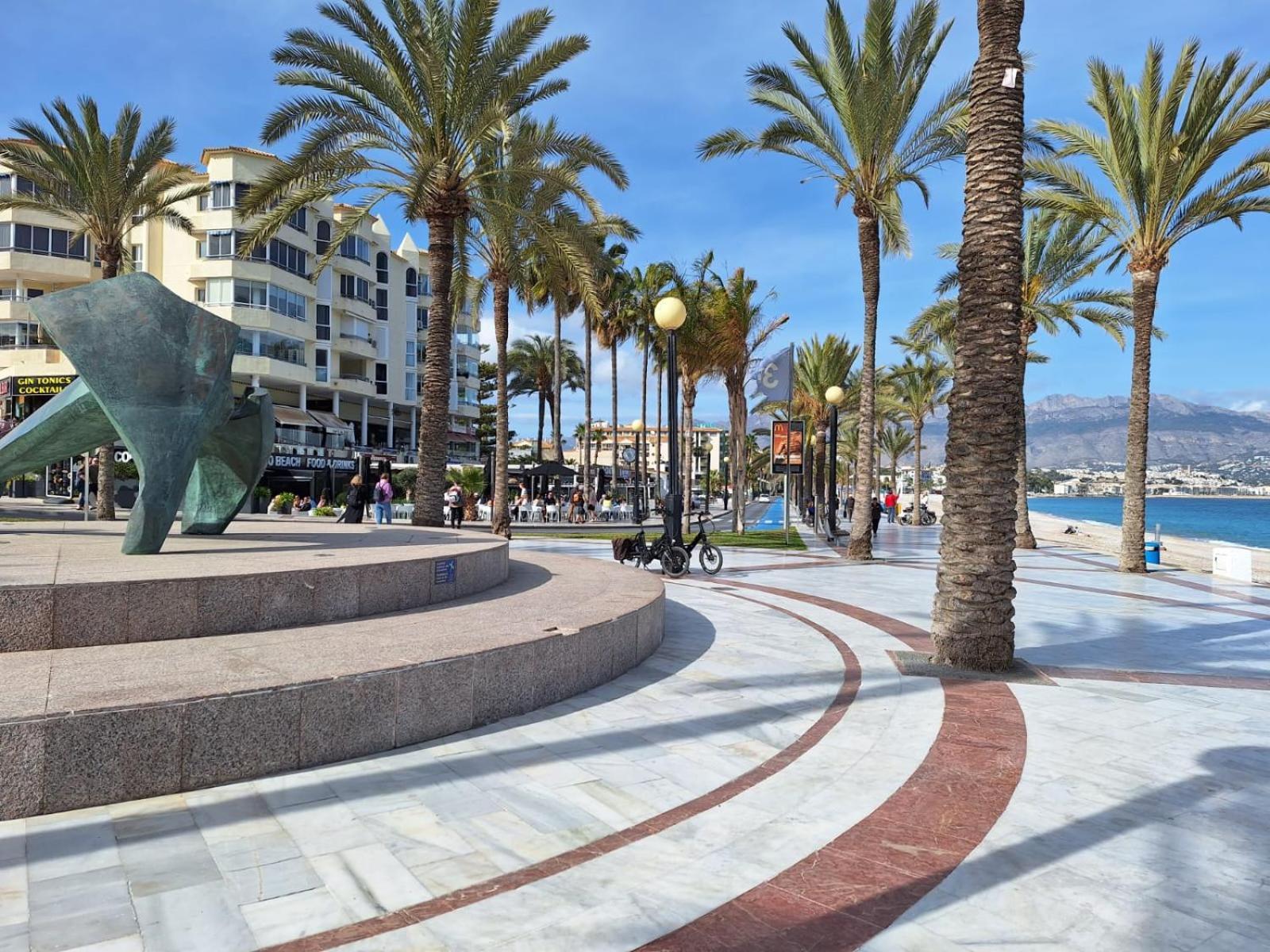 Sunny Albir