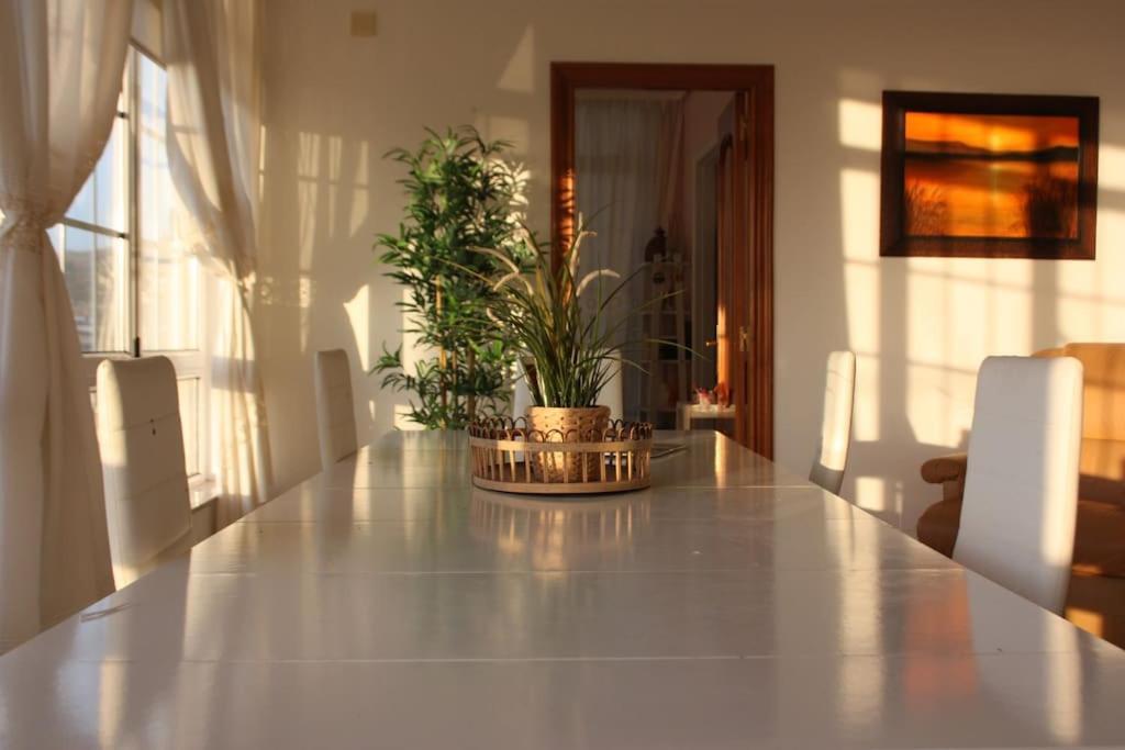 Siete Playas Surf House