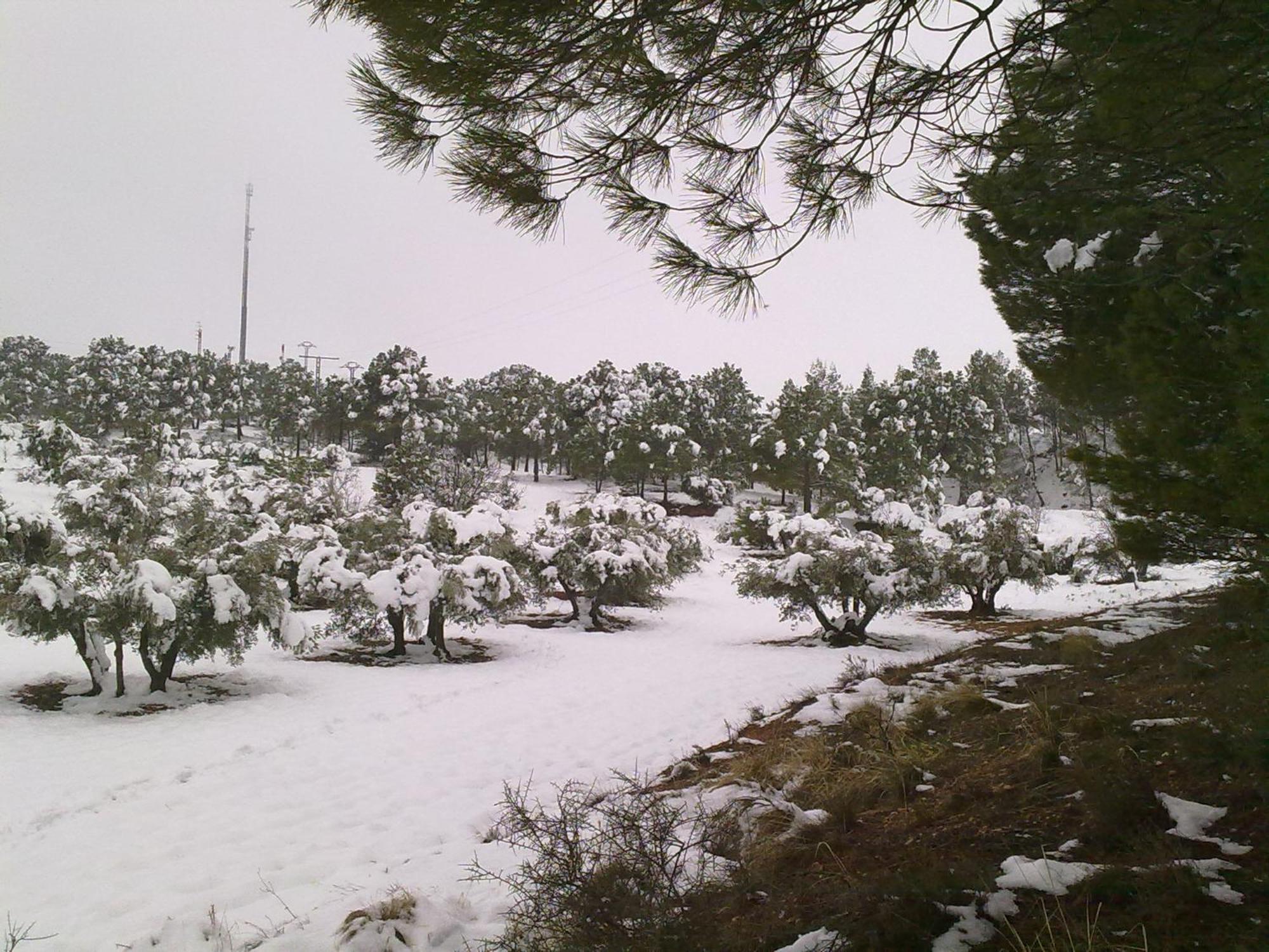 Tejas Holiday home El Picazo