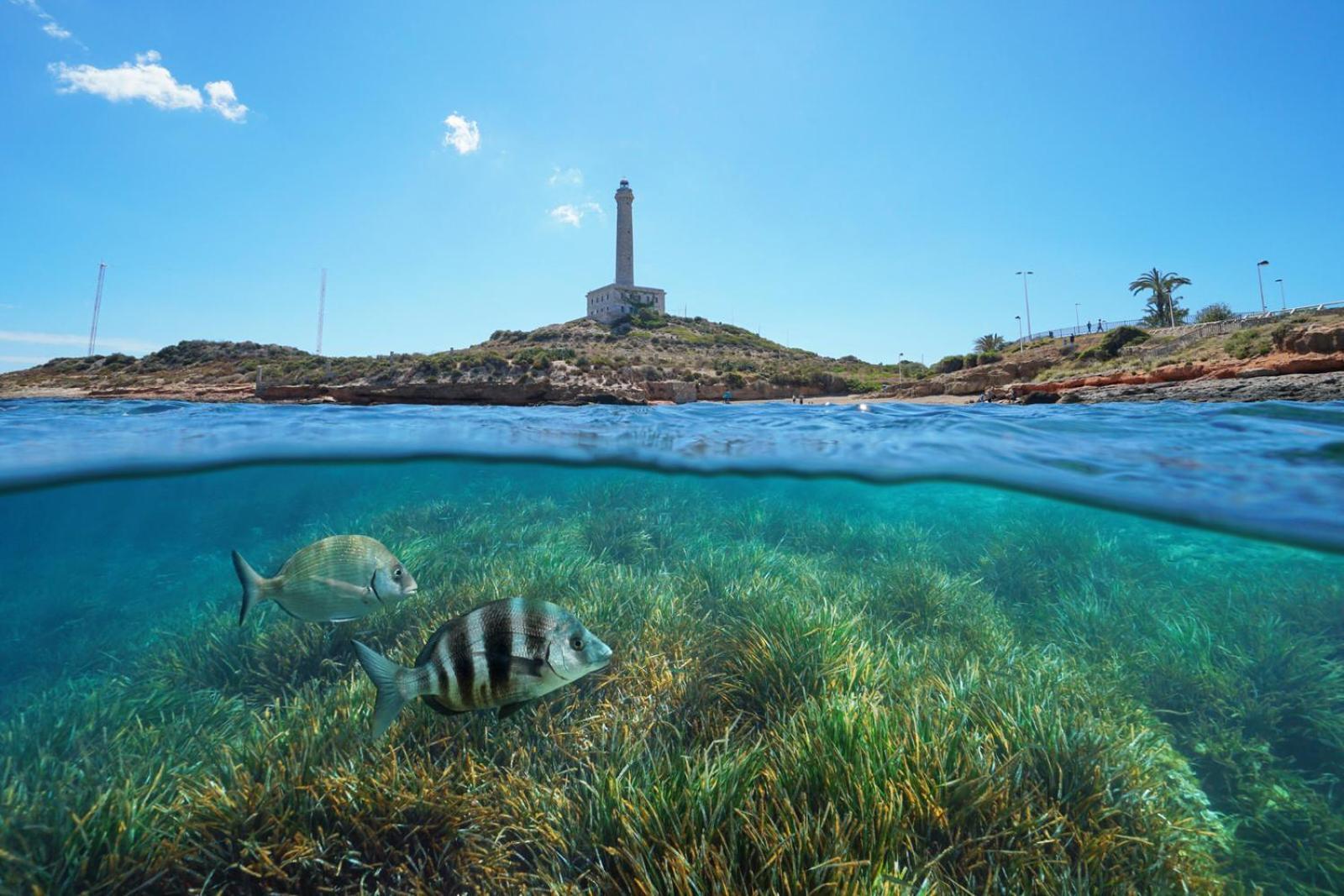 Cabo De Palos - La Manga Con Aire Acondicionado * Cartagena