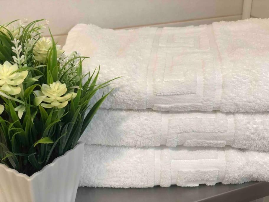 Apartamento Andaluz Carma *