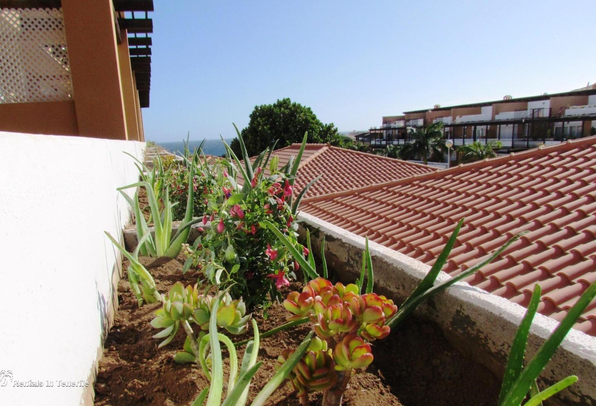 Blue Sky Apartamento