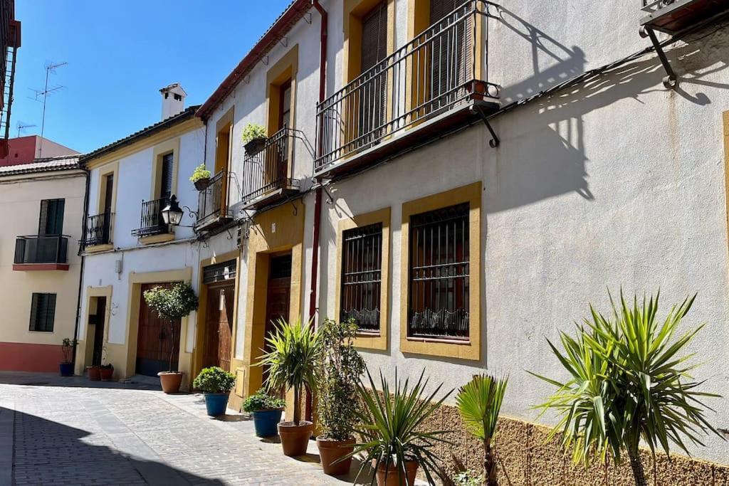 Apartamento El Patio De Wallada