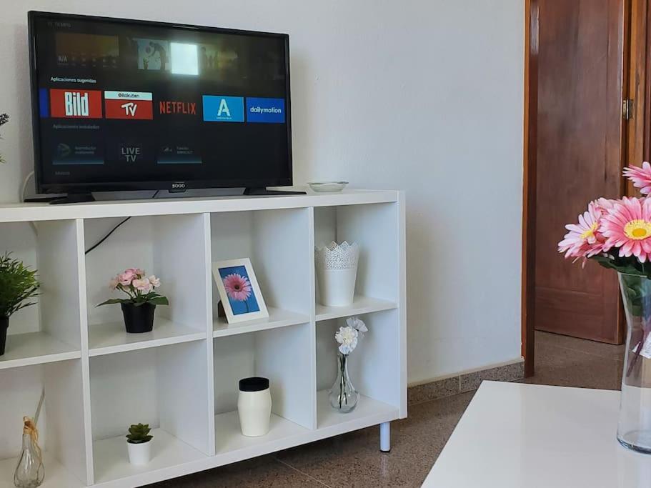 Camelias Q17 Apartment
