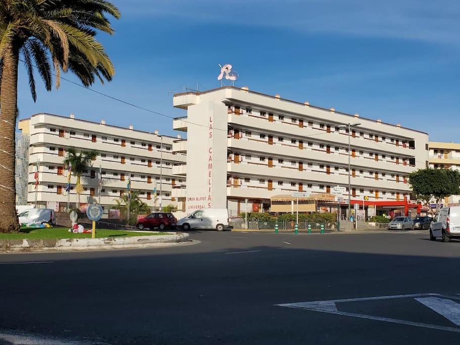 Camelias Q17 Apartment *