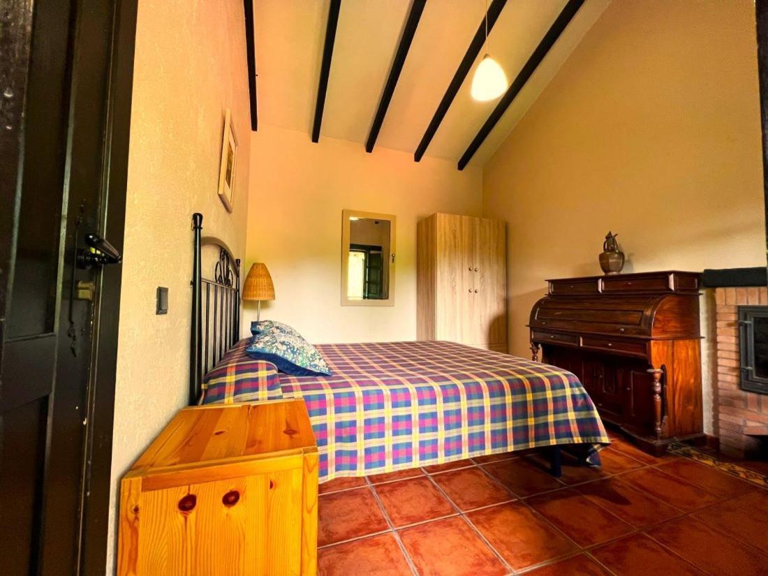 El Pozo Tremeo Apartment *