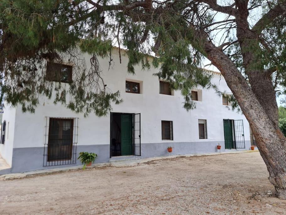 El Cabezo De La Torre