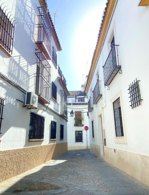 Apartamento Centrico En El Casco Historico De