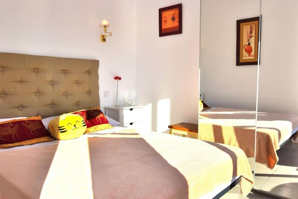 Apartment Pino Alto