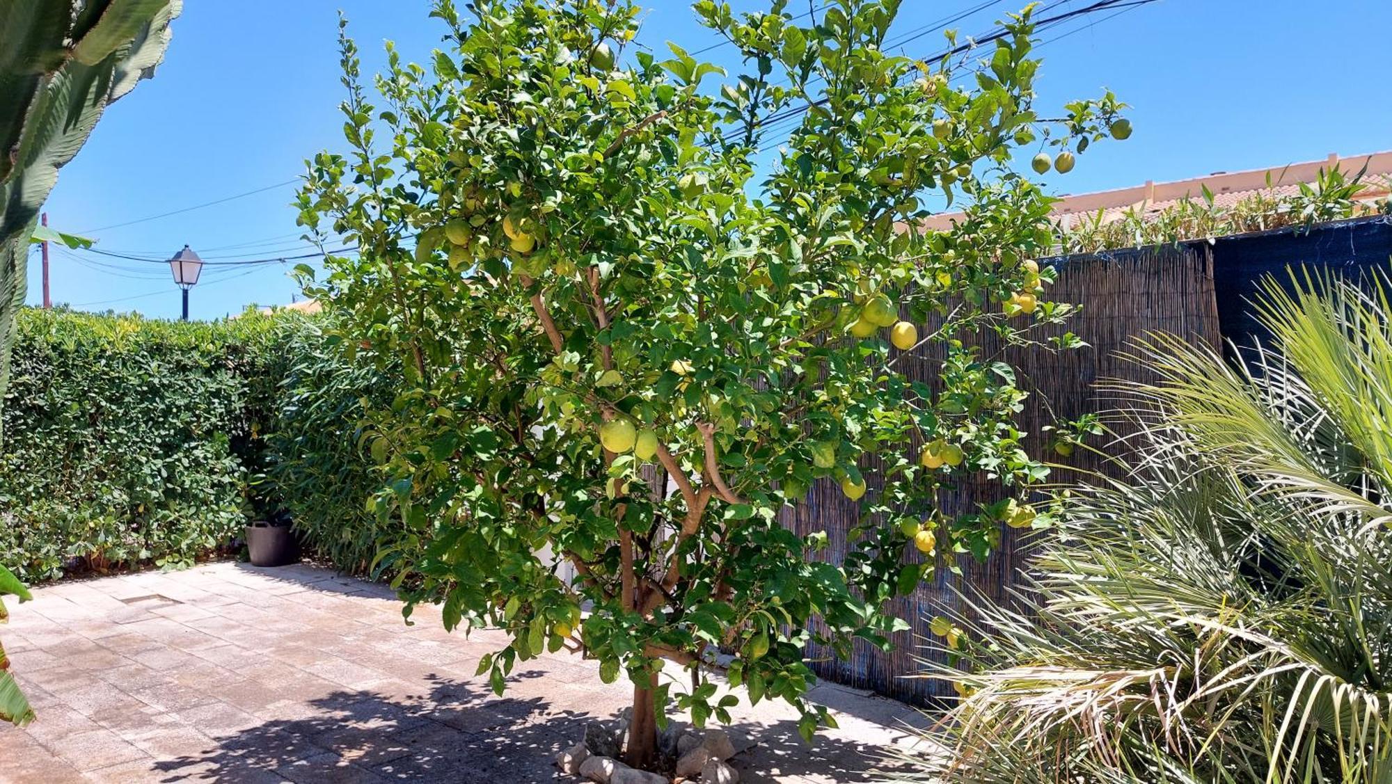 Ferienhaus In Meeresnaehe, Privater Pool, Garten Und Kostenlose Fahrraeder * Dénia
