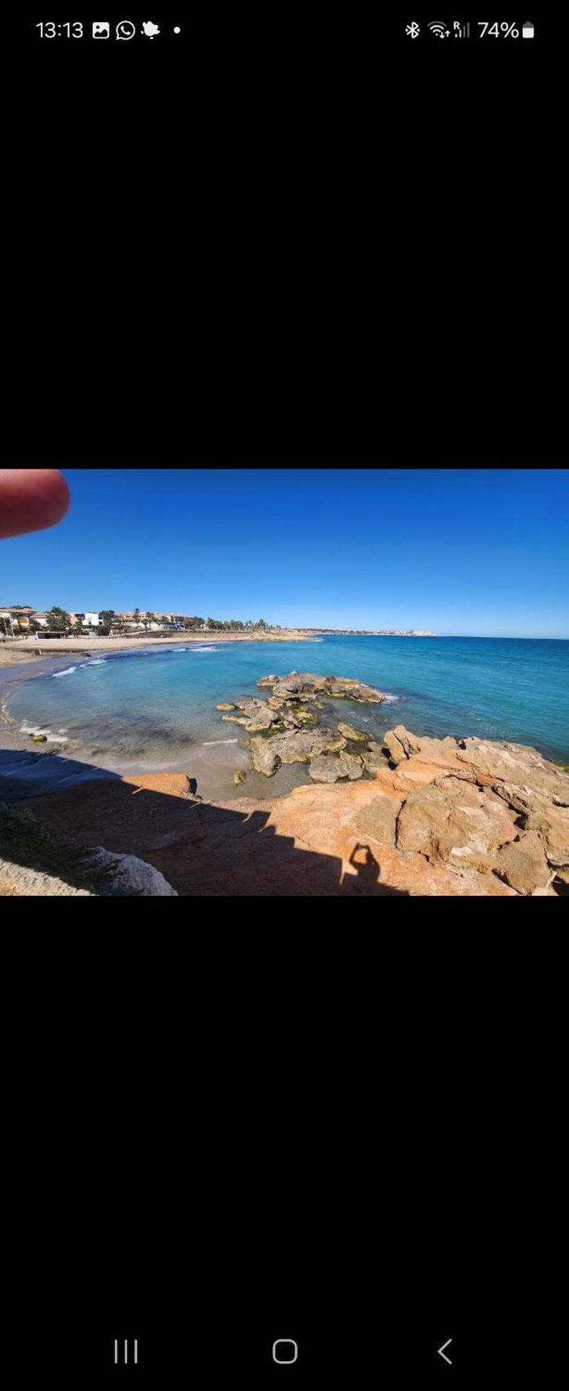 Zenia * Orihuela