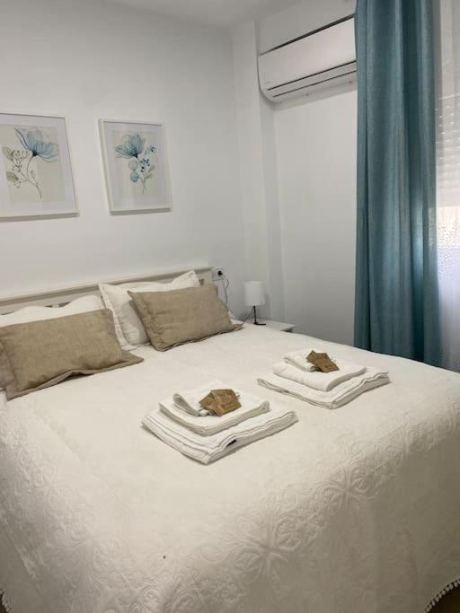 California 4b Apartment Baeza