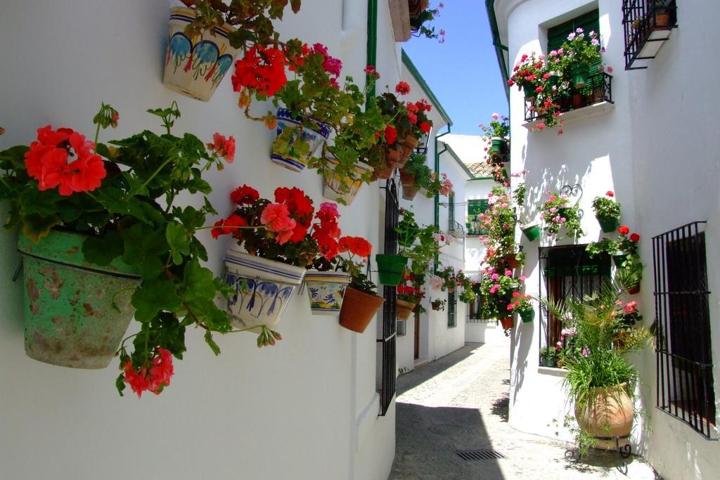 Casa Olea * Priego de Córdoba