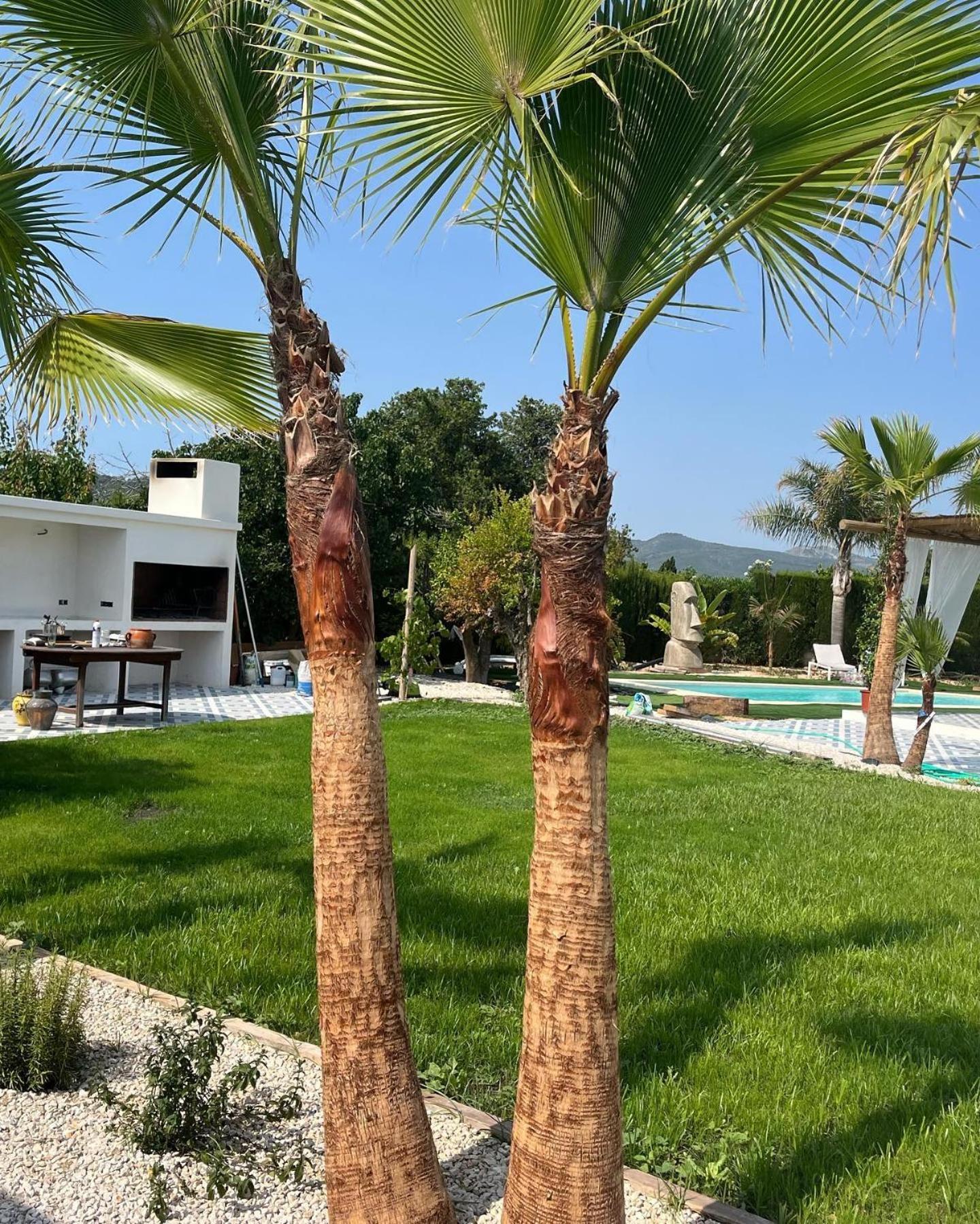 Casanoa Luxury Villa *