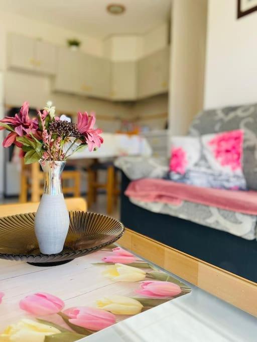 Apartamento En Torrevieja