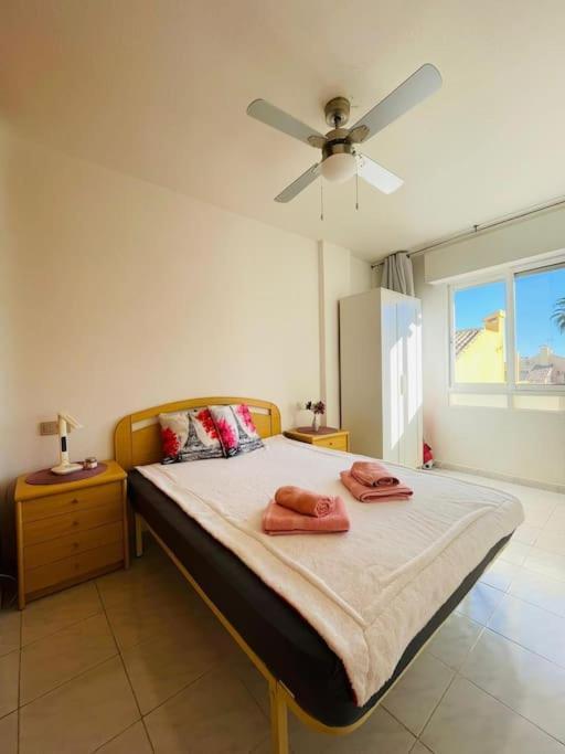Apartamento En Torrevieja