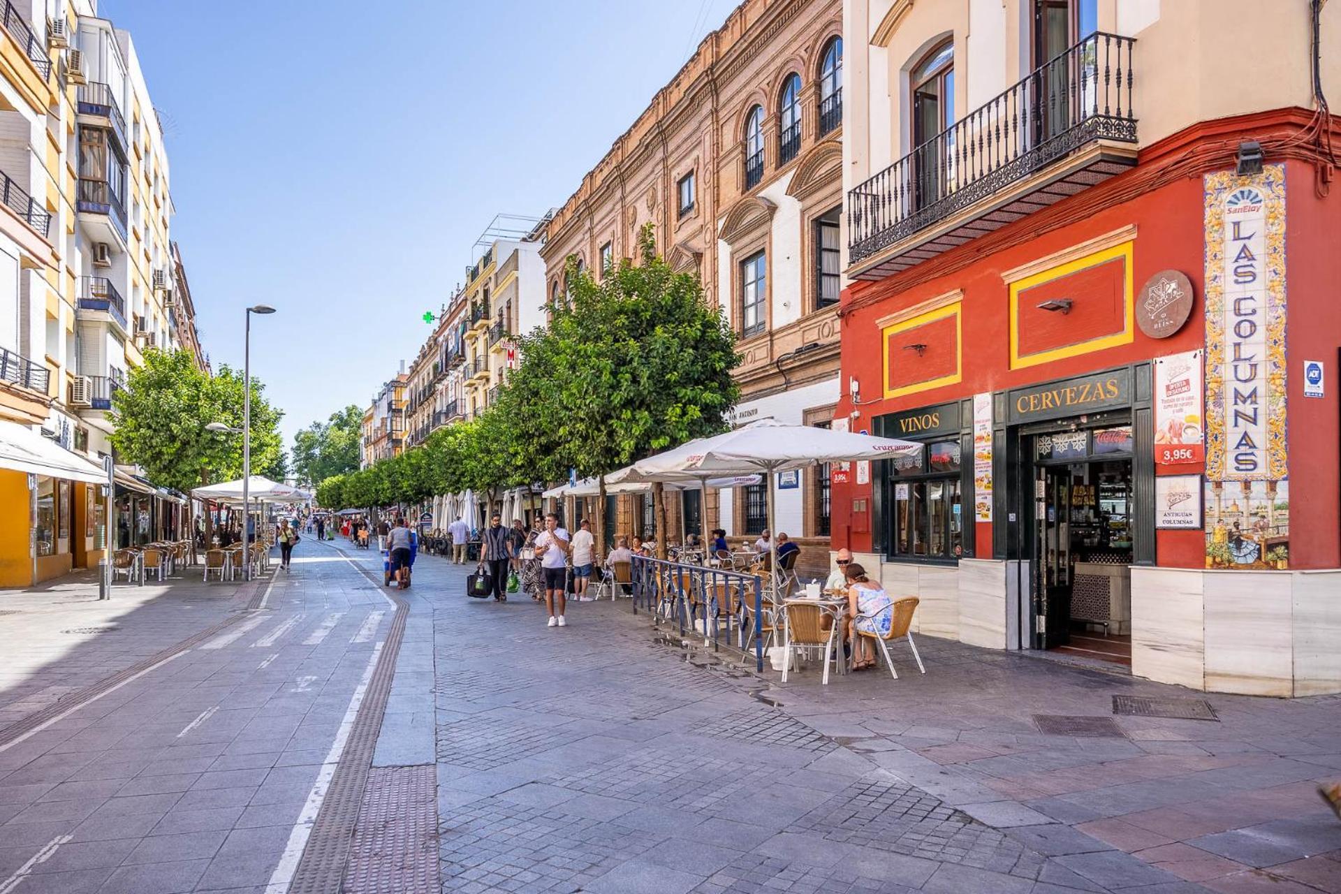 Apartment Sunterrace Loft-triana's Star, 10' From Center!