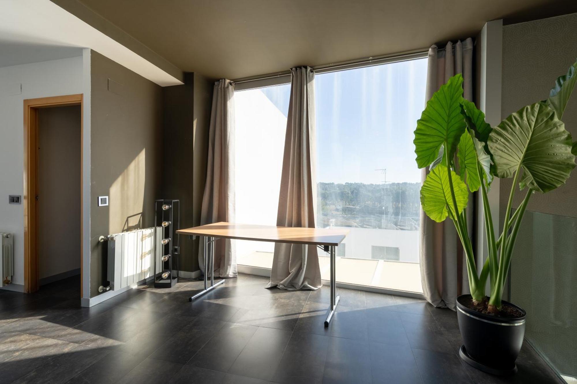 Descubre Oasis - Confort, Diseno Y Naturaleza A Un Paso De Valencia Chiva