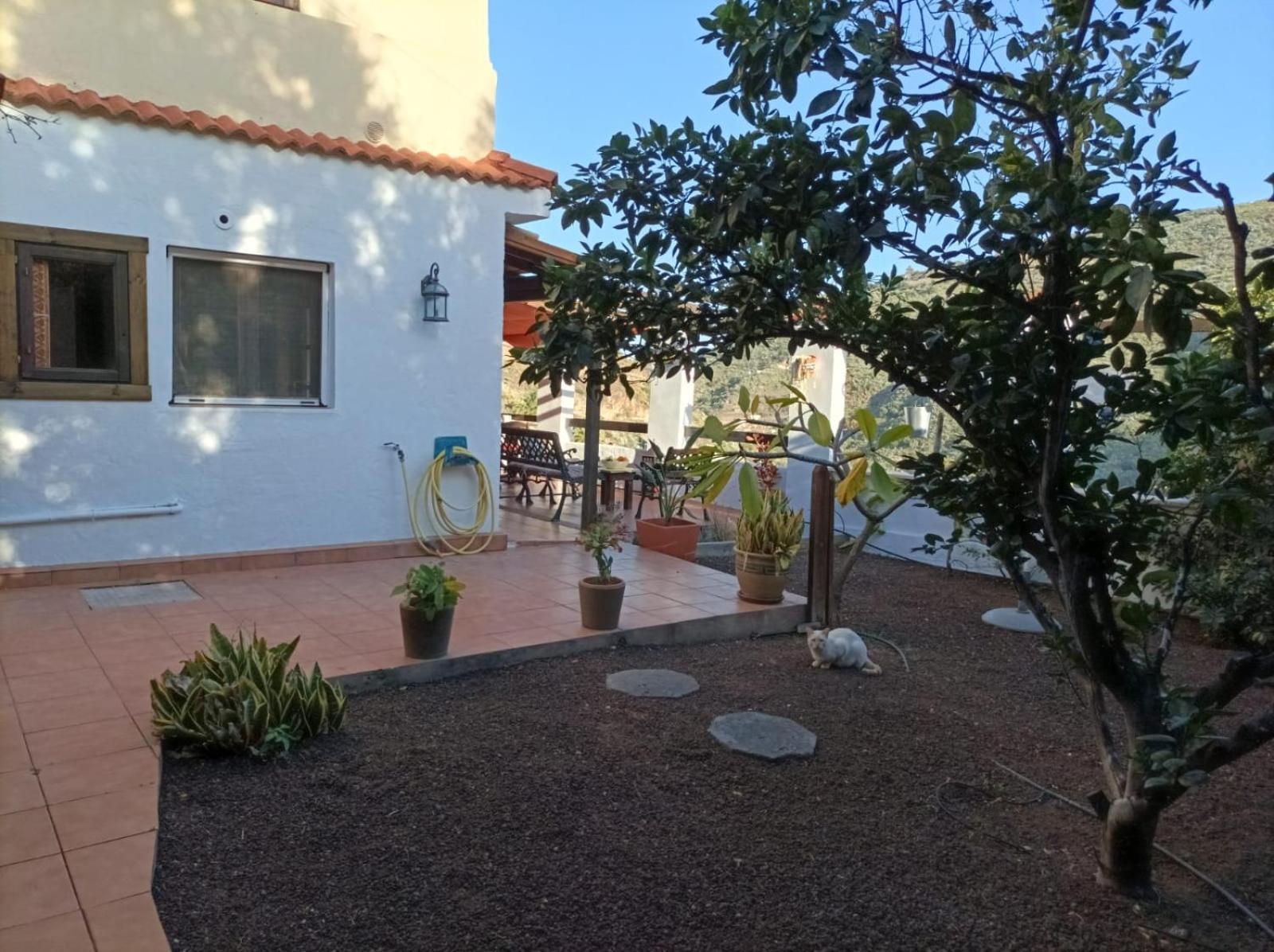 Apartamento Brujitas, Valsequillo