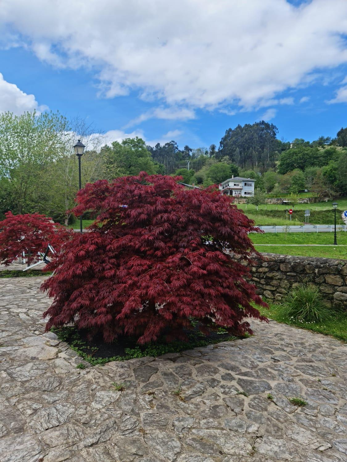 Mozas * Riocorvo