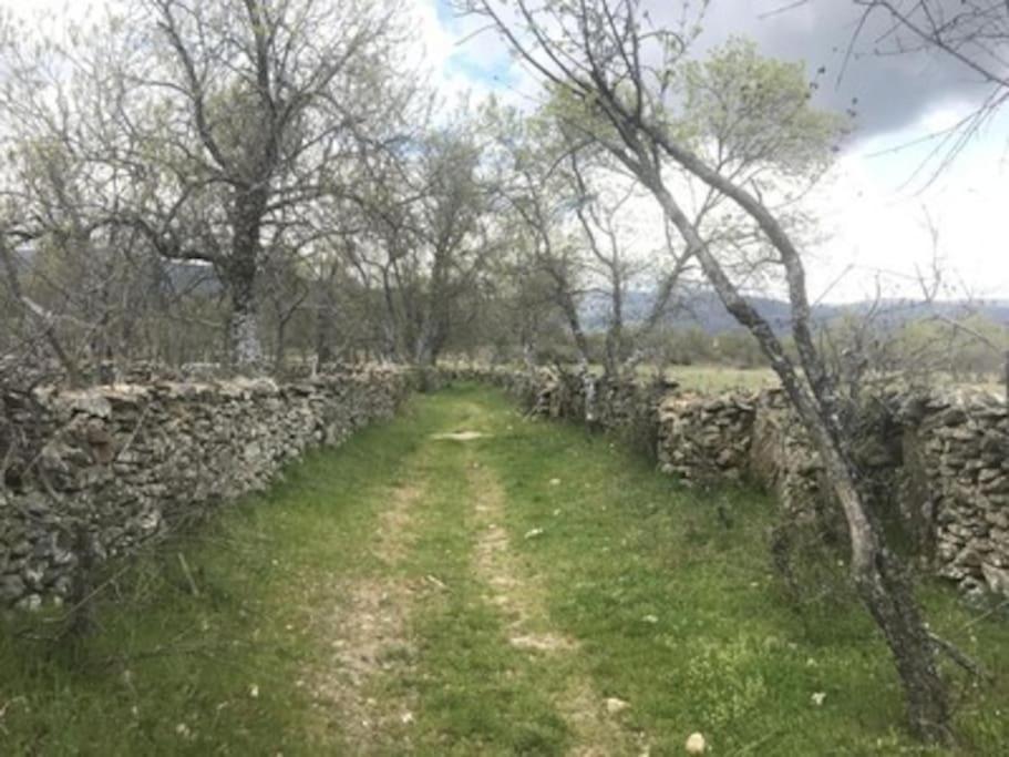 Сasa de vacaciones Casa En Pinilla De Buitrago Gargantilla del Lozoya