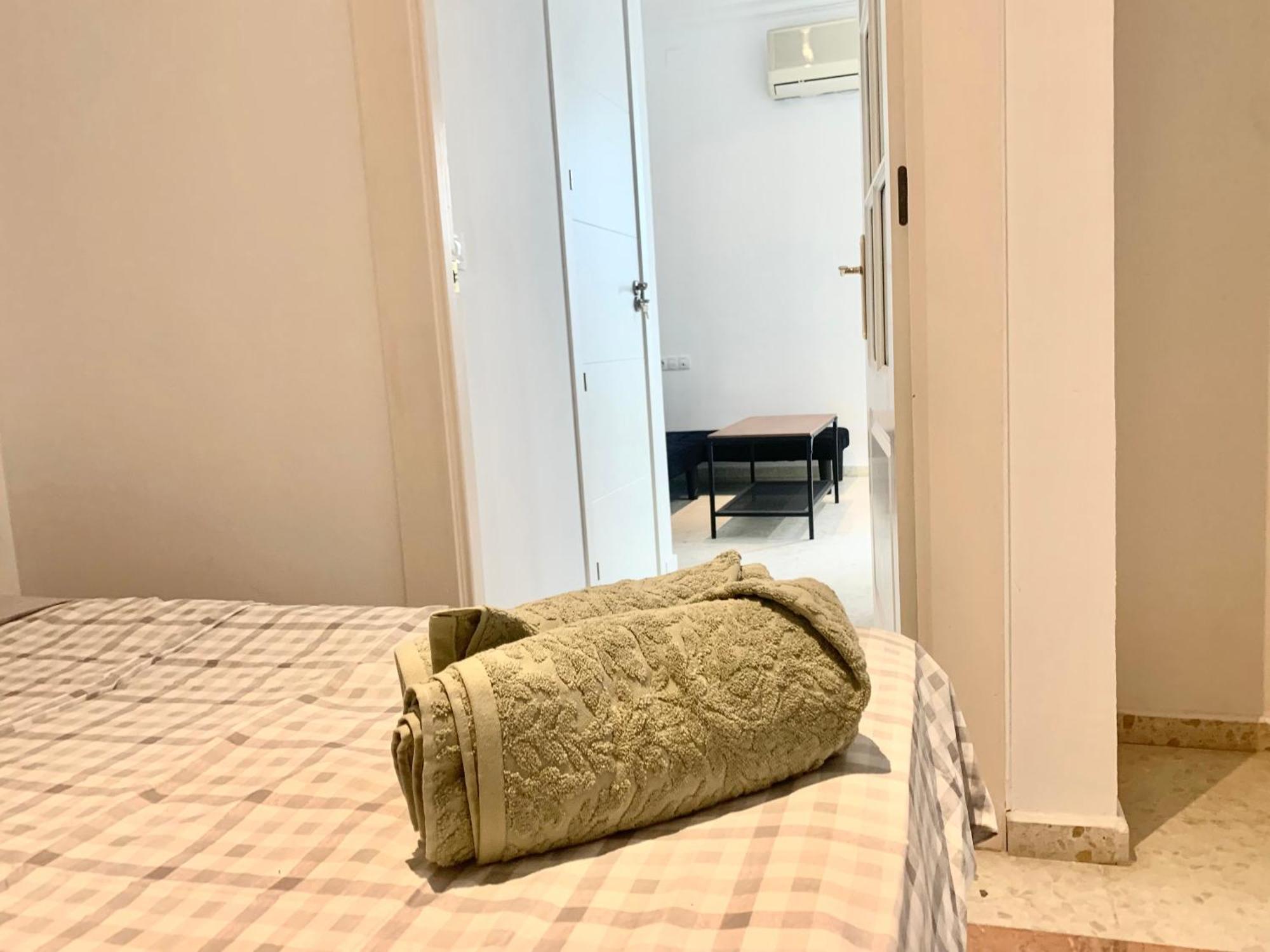 Apartment Sevilla Central *