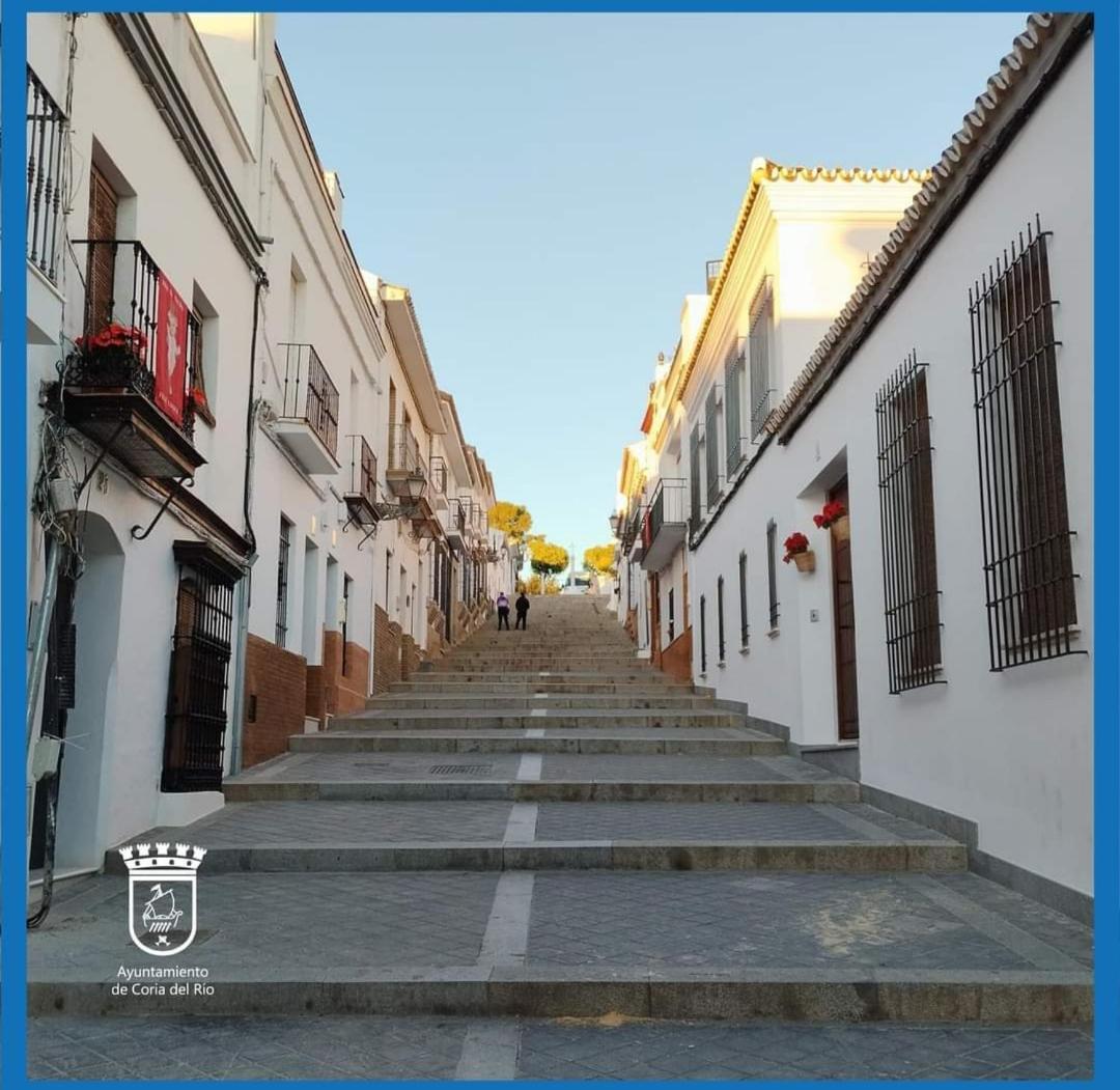 Amplia Y Luminosa Homestay *