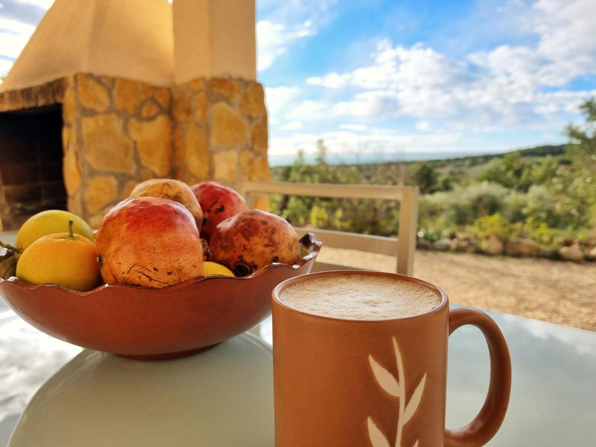 Finca Llambrich