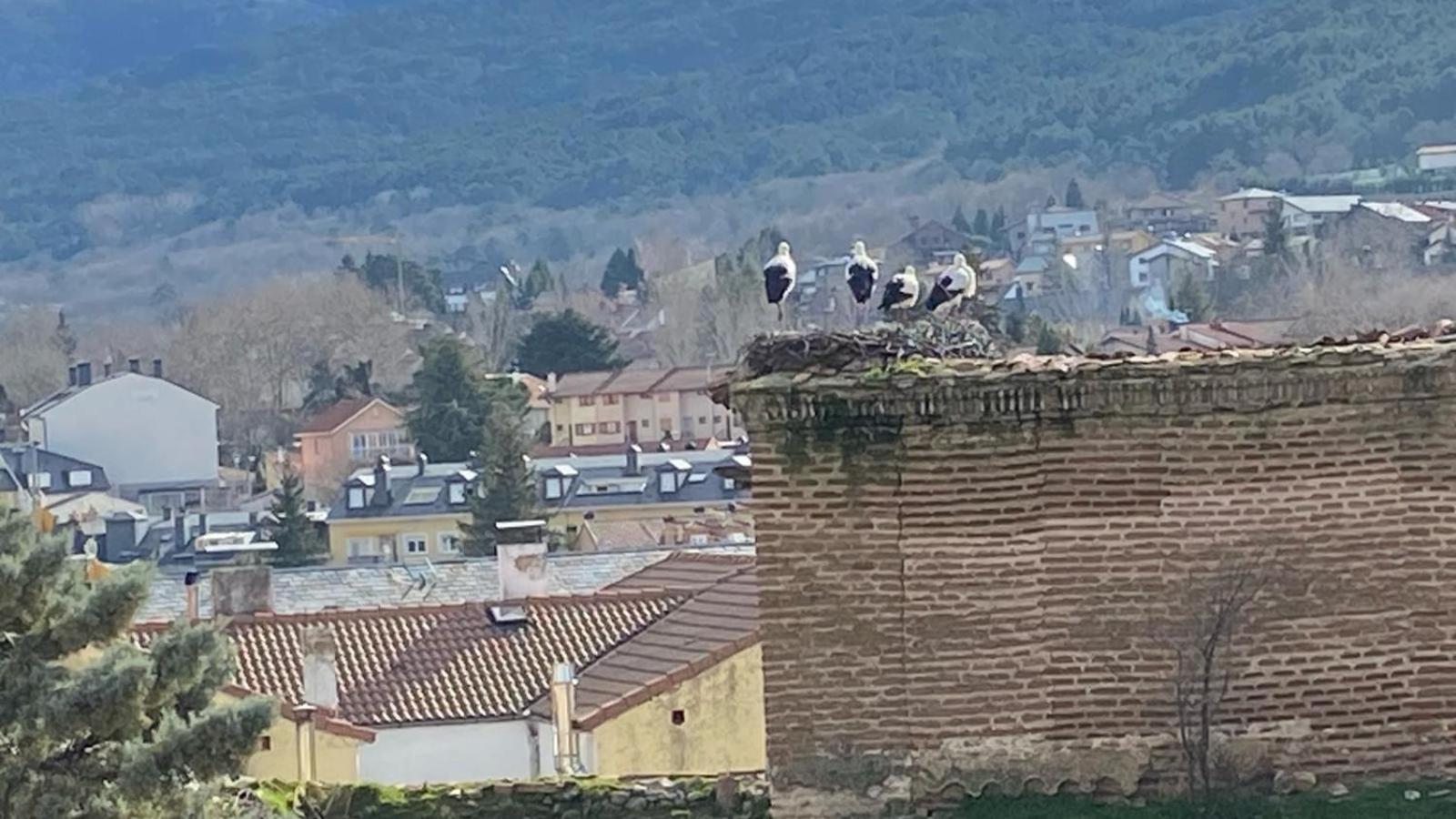 La Cigueña El Espinar