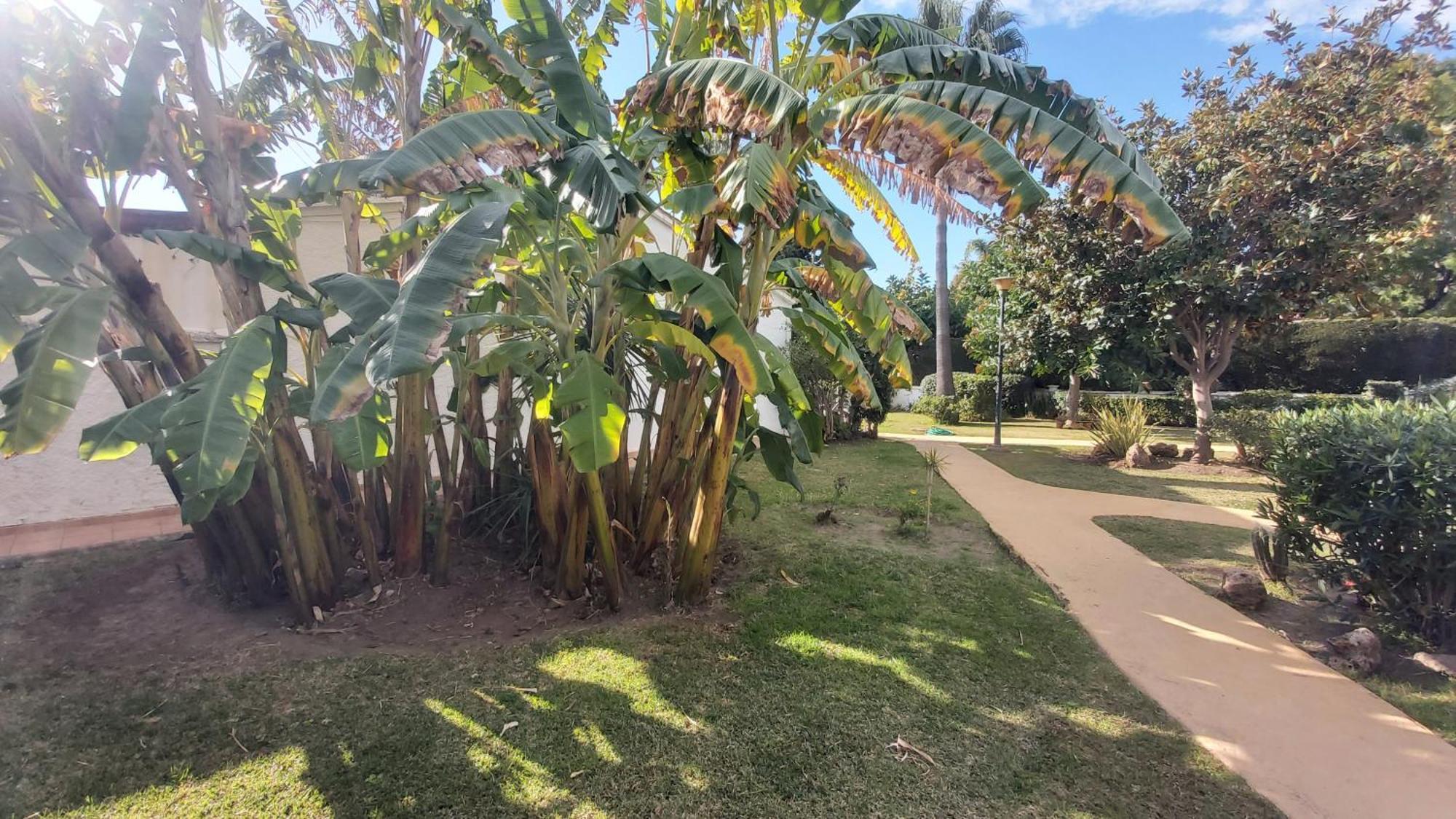 Del Parque Flats Picasso Townhouse Сasa de vacaciones Marbella
