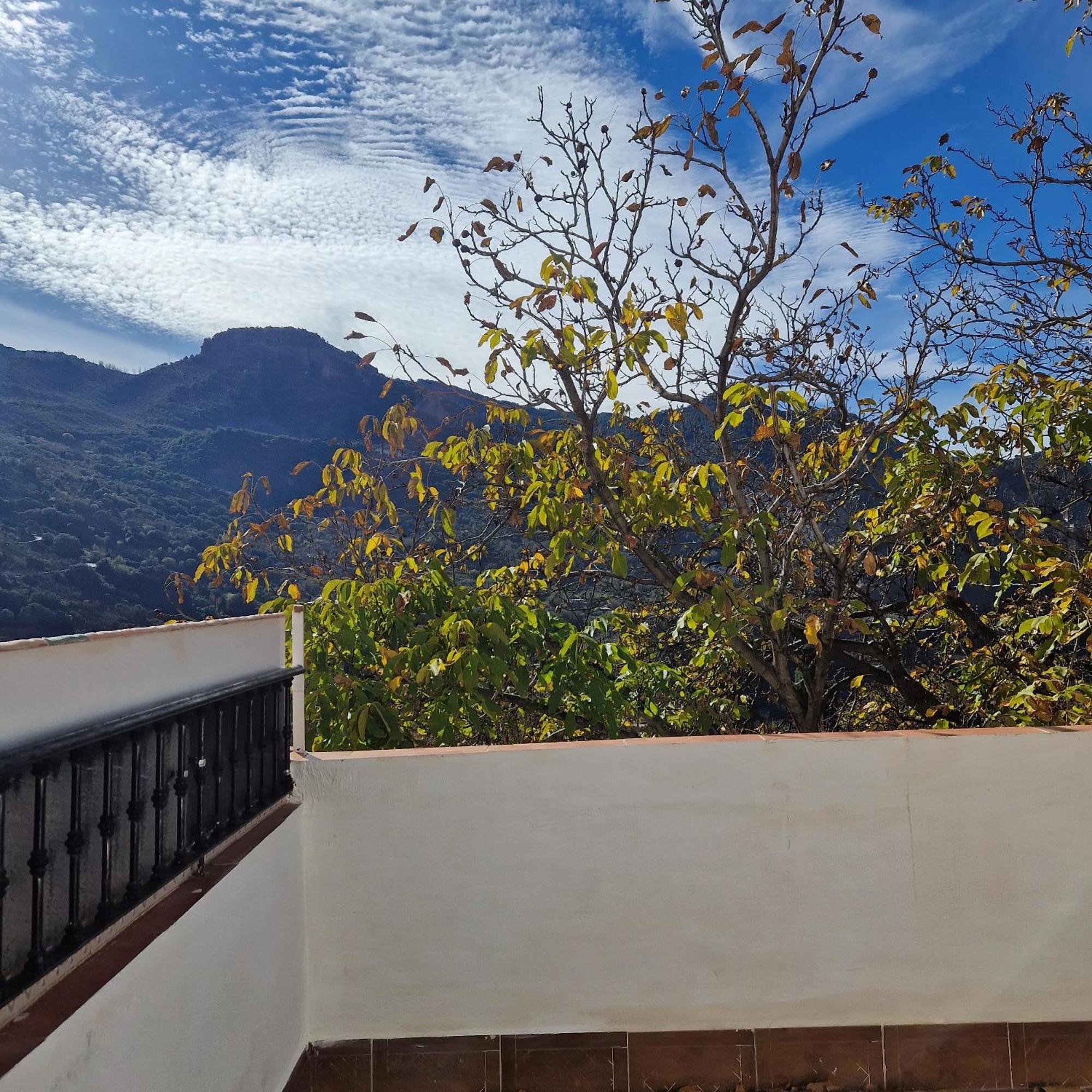 Apartment Haza La Moraleda