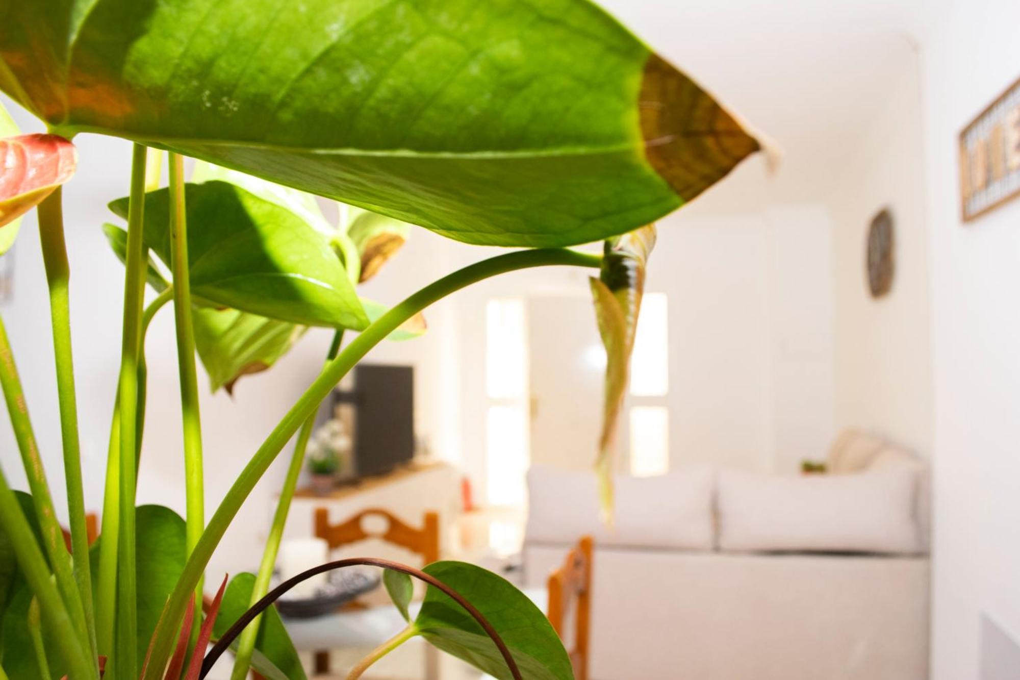 Apartamento A&c Casa Playa Melosas- - Malaga *
