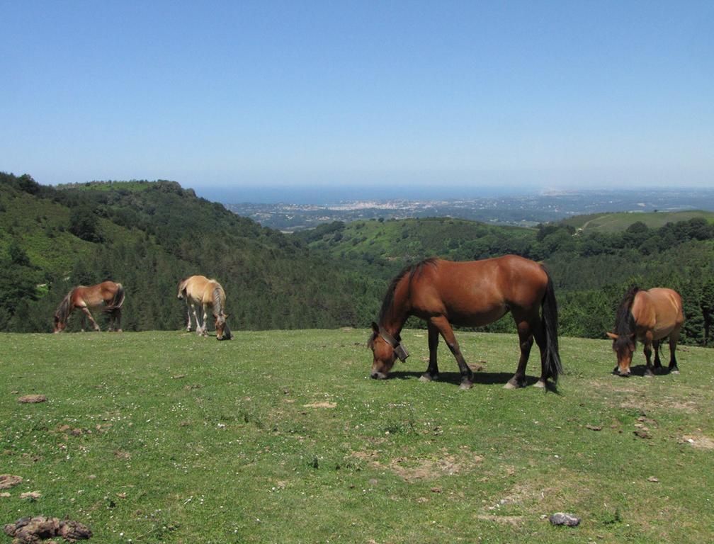 Casa rural Erreteneko Borda *