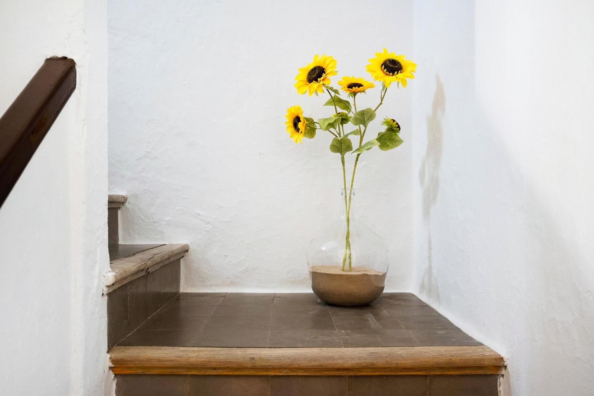 Cruce De Castro Holiday home *
