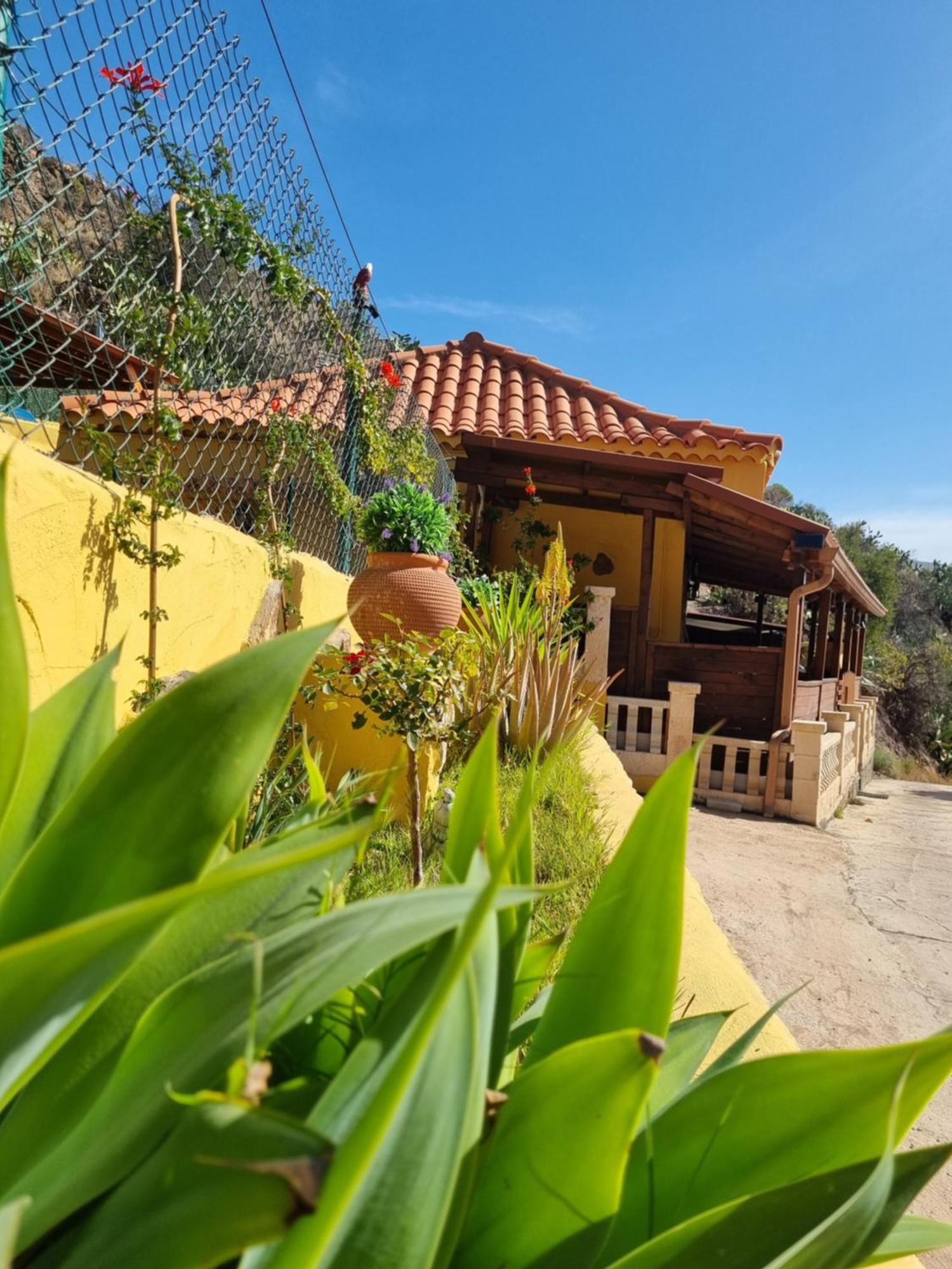 Casa Pablito * San Bartolome de Tirajana (Gran Canaria)